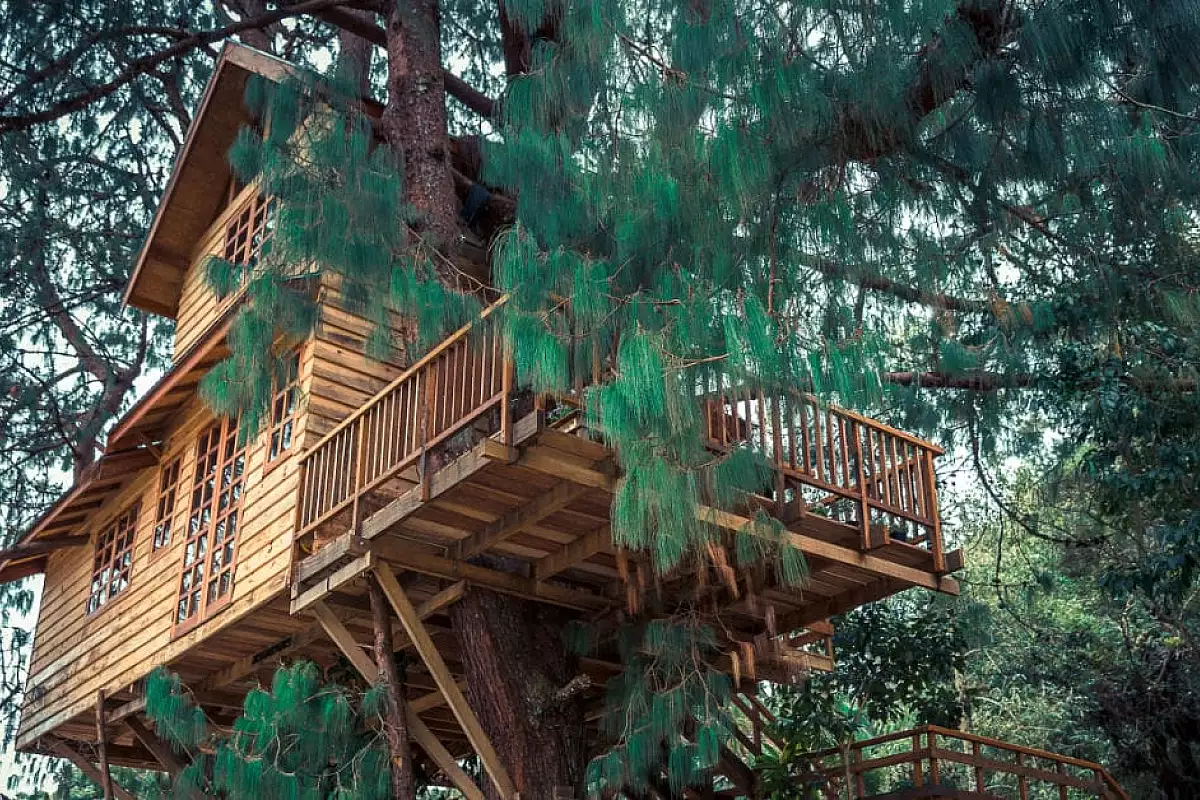 casa_sull'albero