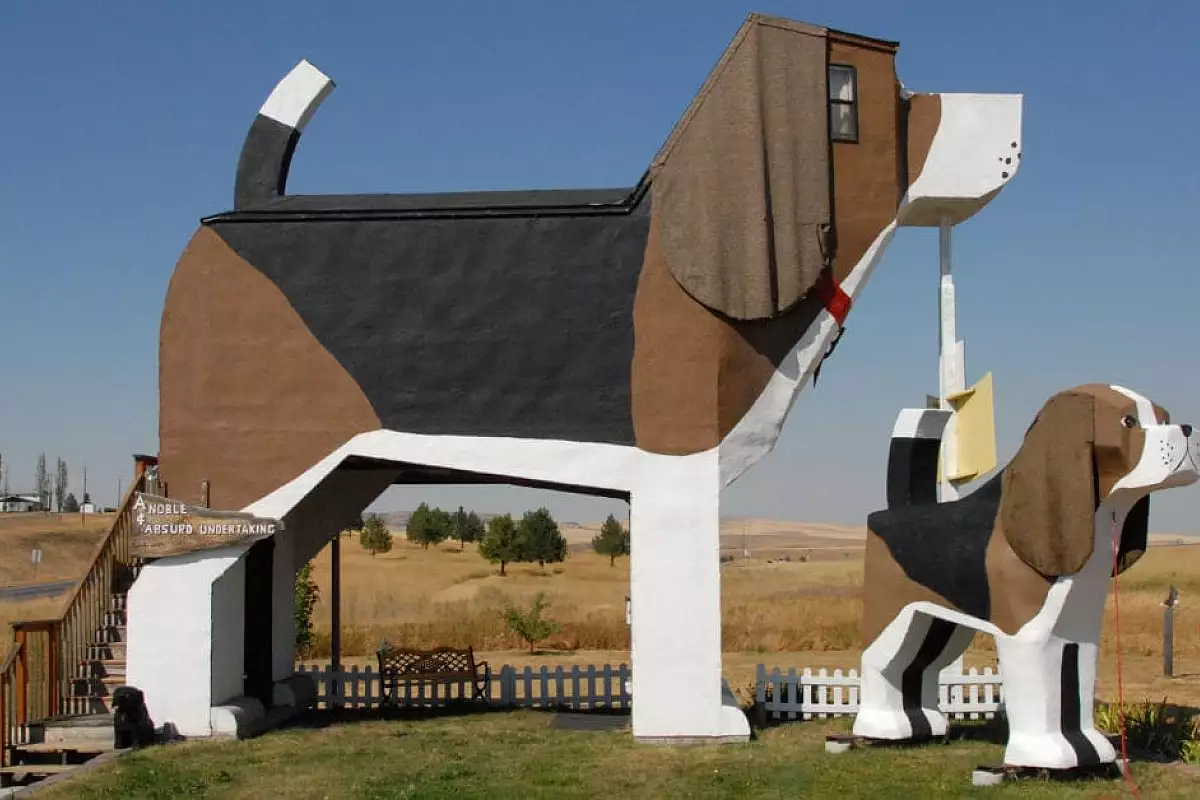 dog_bark_park_inn