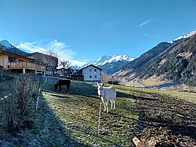 fattoria_untersillerhof