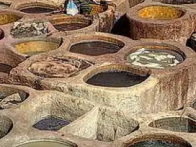 314328160_10225160339653834_3078417967783447988_n