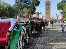 314408637_10225186311423112_7929617691785244208_n