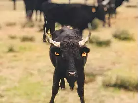 facetune_23_01_2023_07_39_26