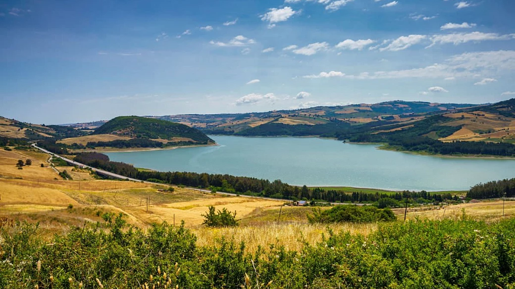 tintilia, il vino molisano simbolo dell'identità regionale