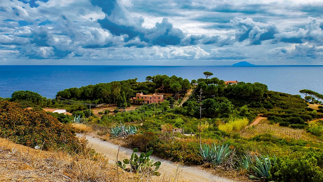visite all'isola di montecristo, idee per san valentino, artefiera...