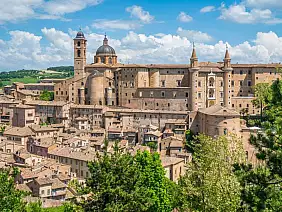 urbino