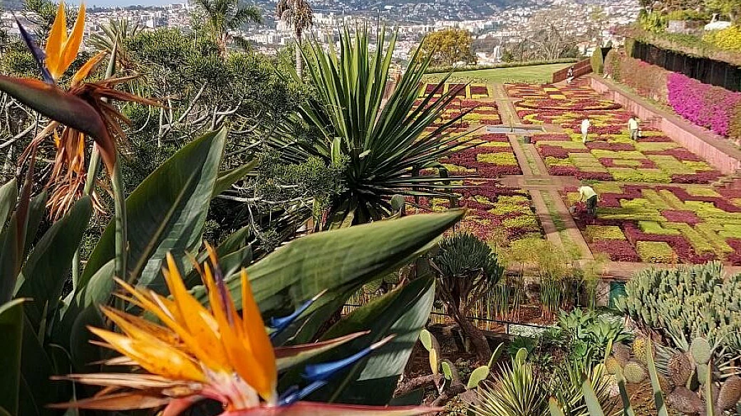 foreste, panorami e cristiano ronaldo. madeira è l'isola dai mille volti (con un aeroporto da paura)