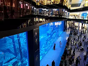 l_acquario_del_dubai_mall
