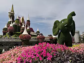 nei_miracle_garden_a_dubai