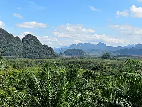 khao sok