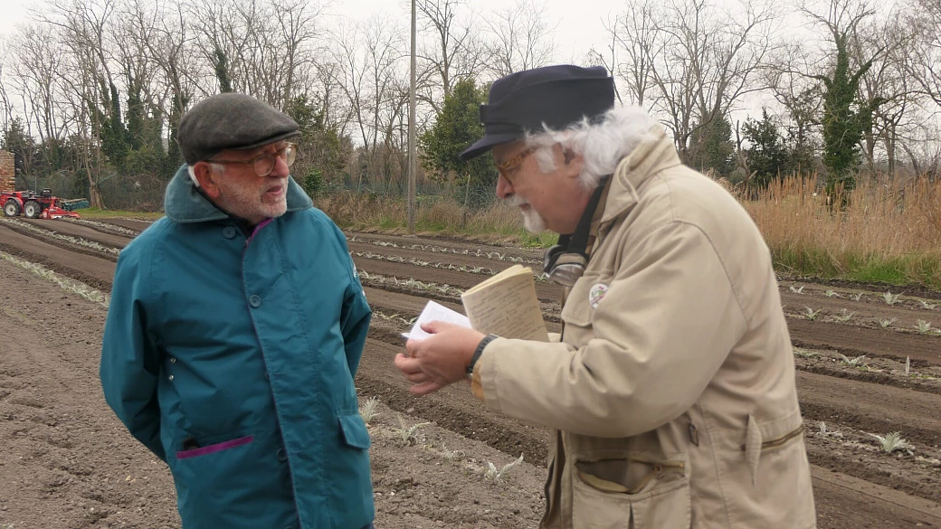 venezia: l’occhio del ciclone