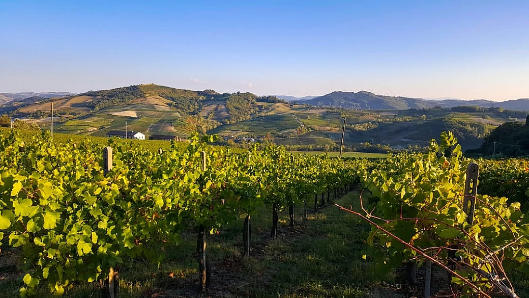 sono le colline del buon bere della lombardia, ma qui è possibile visitare ben tre regioni nel giro di pochissimi chilometri