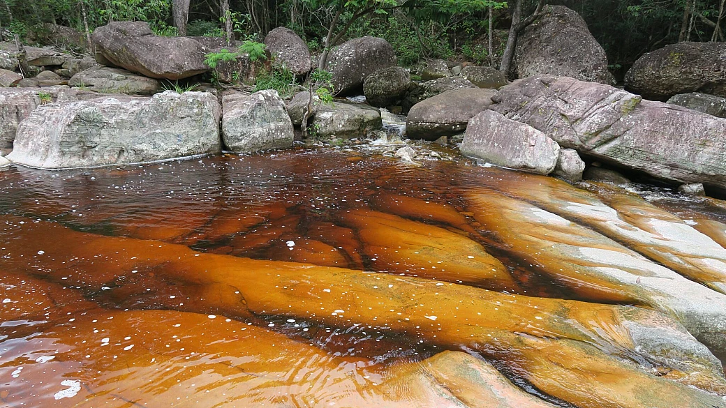 trekking verdeoro: alla scoperta del brasile escursionistico per un viaggio che non ha età