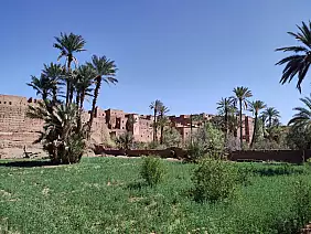 marocco_tamnougalt_e_la_sua_oasi