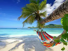 mahe,island,,seychelles,-,romantic,cozy,hammock,in,the,shadow