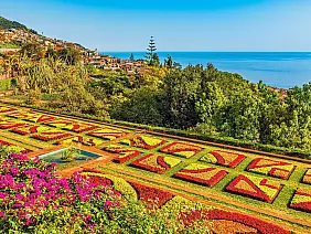 botanical garden in funchal, madeira, portugal.