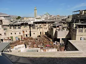 conceria_delle_pelli