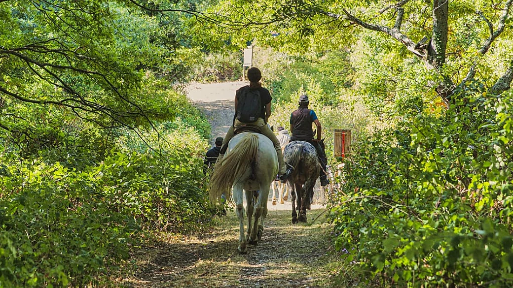 la magia della natura nei monti dauni