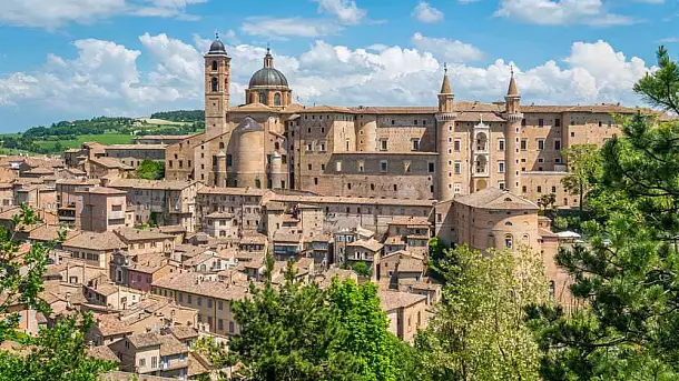 urbino