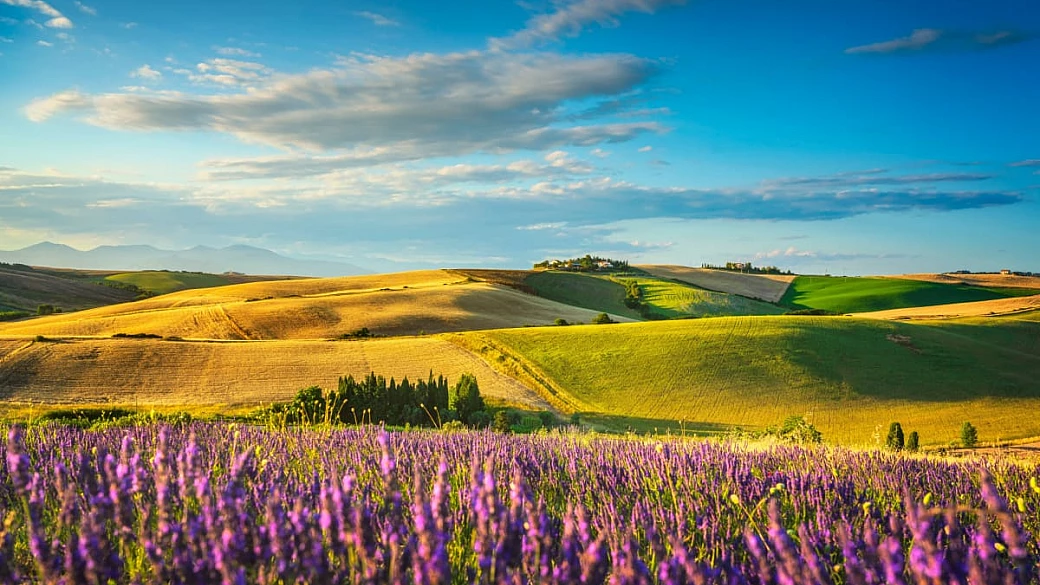 ecco dove sono i campi di lavanda più belli d'italia che non ti faranno rimpiangere la provenza