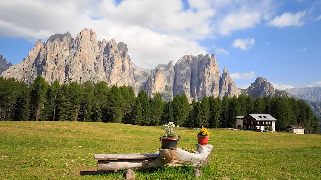 val di fassa in estate, un tour tra malghe e alpeggi per gustarsi il formaggio più buono