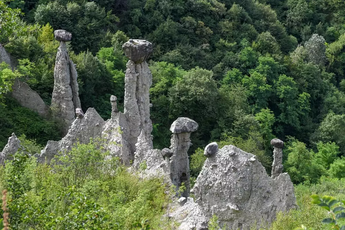 riserva naturale di zone