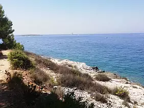 00441df8_8a3c_40cd_ae13_1fe52c109012