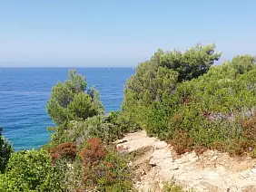 1a5ebef9_0f96_4bb0_8911_7475b08b010f