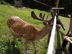 356930977_10226589492397411_4078314267843370436_n