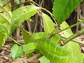 35bc26fe_f30e_421a_998b_675fd1f8ae5d