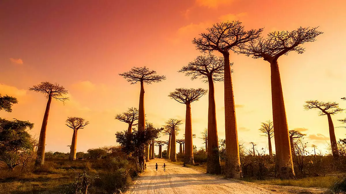 mal d'africa? ecco i 5 paesi del continente nero dove ogni viaggio è l'avventura di una vita