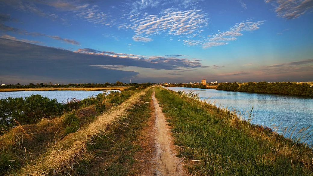 ravenna e comacchio: in bici nelle valli e sulla via degli angeli