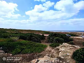 img_20210817_175205_1_