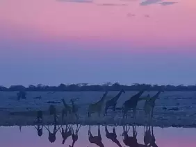 whatsapp_image_2023_08_26_at_13.01.14