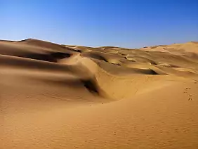 whatsapp_image_2023_08_26_at_13.01.15_1_