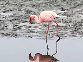 whatsapp_image_2023_08_26_at_13.01.16