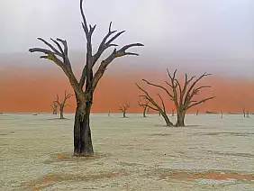 whatsapp_image_2023_08_26_at_13.01.18_1_