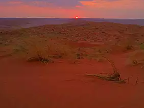 whatsapp_image_2023_08_26_at_13.01.19