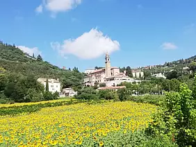 b0281387_ea62_406d_8b65_702421ba105f