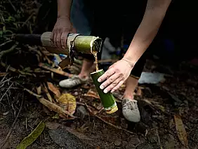 cb79c8fe_95d6_4b16_abf5_d2053de4677c