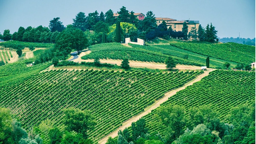i colli piacentini sono il posto perfetto per vivere un'esperienza di natura e buon cibo