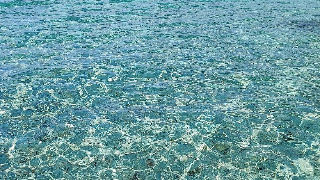 corsica on the road con un volkswagen california t6 ocean