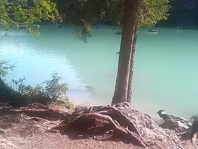 img_20230831_101524_384