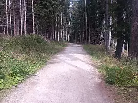 img_20230901_130413_661