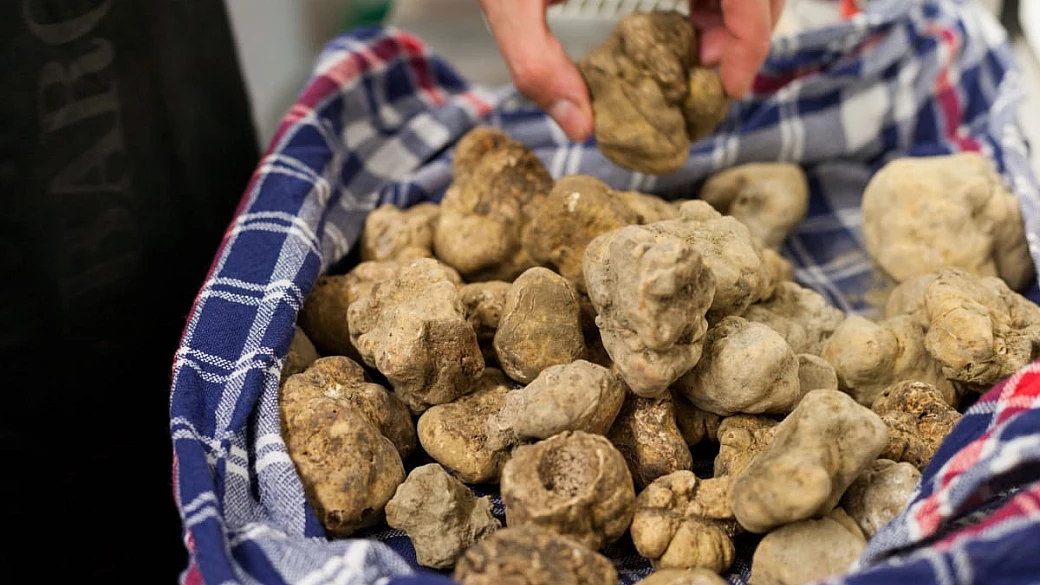 5 sagre a ottobre 2025 da vivere all'insegna di gusto e tradizione