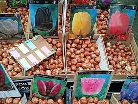 img_20230911_154802_1