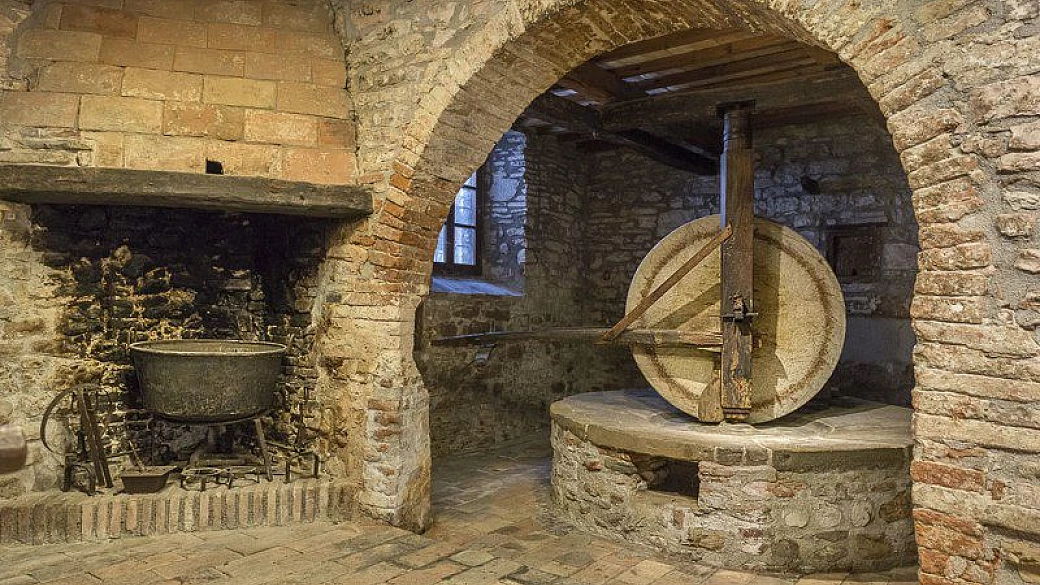 frantoi aperti: a ottobre l'olio nuovo è anche un'ottima occasione per una domenica nella natura