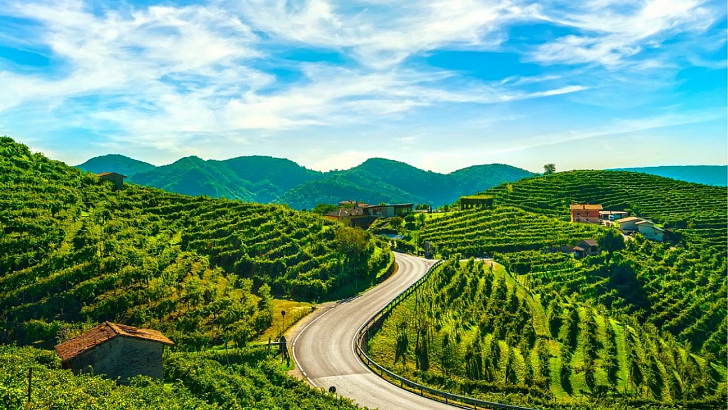 lungo questi 90 km di percorso ti aspettano vigneti, cantine aperte e i panorami più incredibili d'italia