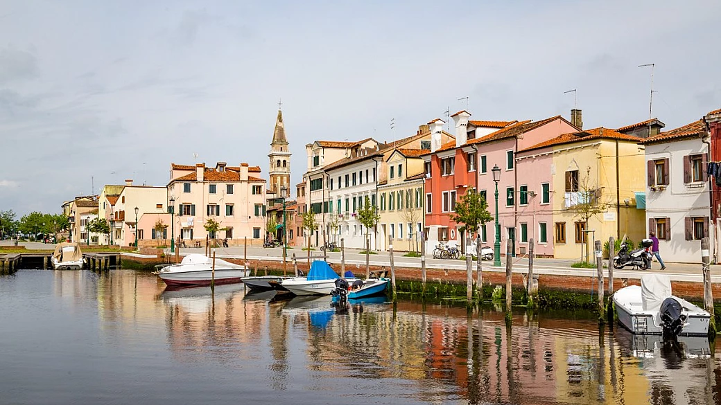 non siamo in giappone, ma molto più vicino di quanto pensi: anche in italia c'è l'isola dei gatti