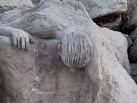 screenshot_20240204_184026_gallery