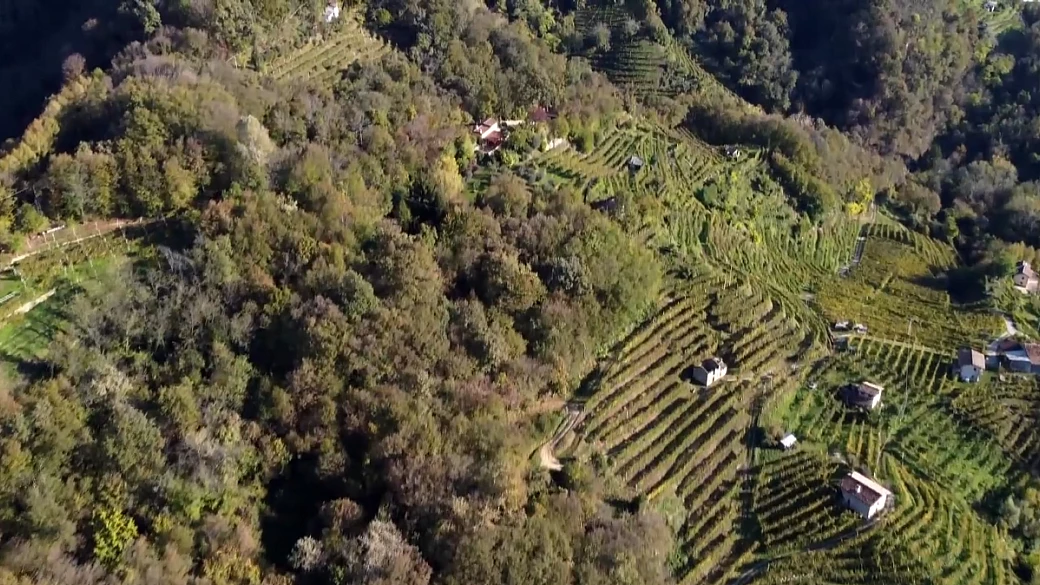 il paesaggio unesco delle colline del prosecco